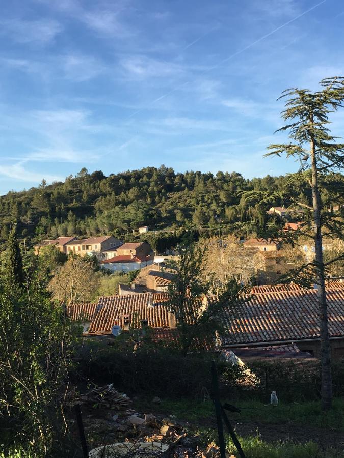 Chambres D Hotes Le Clos Des Vins D Anges Saint-Pierre-des-Champs Exterior foto